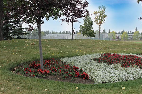 east homes - Calgary Communities